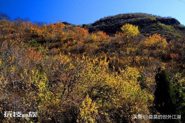 妙峰山在哪里(北京门头沟妙峰山自然风景区介绍)-图片4